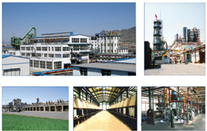 Inner Mongolia Sanlian Chemical Group